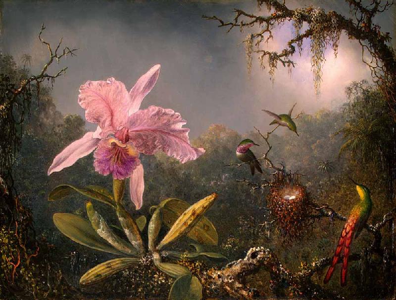 Martin Johnson Heade Cattleya Orchid and Three Hummingbirds Norge oil painting art